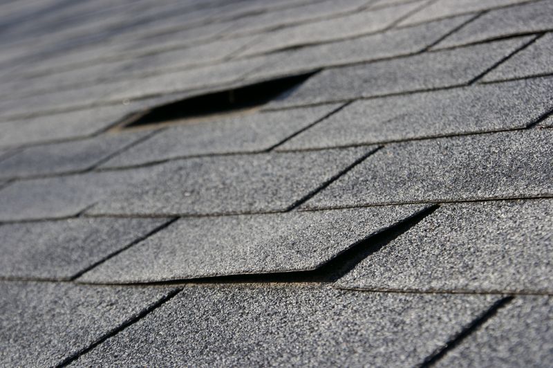 Shingle Repair Service